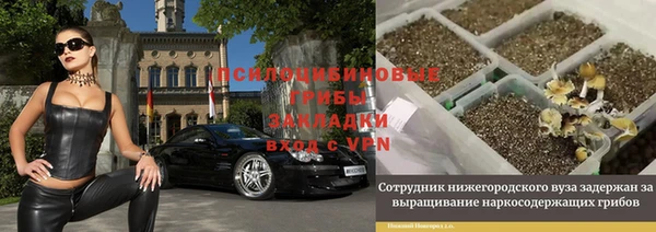 Альфа ПВП Алзамай