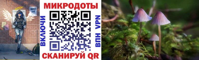Галлюциногенные грибы мухоморы  Катав-Ивановск 